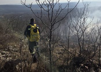 Požar u Širokom Brijegu: Vatrogasci gase vatru u Crnim Lokvama