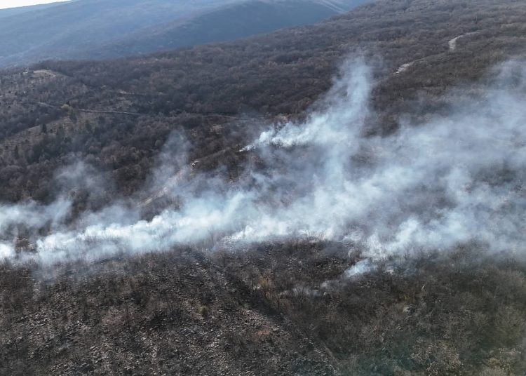Požar u Širokom Brijegu: Vatrogasci gase vatru u Crnim Lokvama