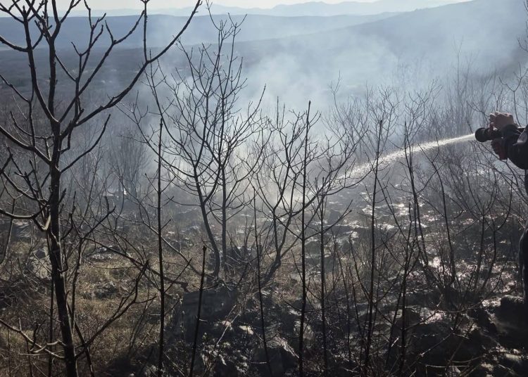 Požar u Širokom Brijegu: Vatrogasci gase vatru u Crnim Lokvama