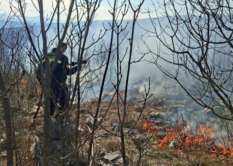 Požar u Širokom Brijegu: Vatrogasci gase vatru u Crnim Lokvama