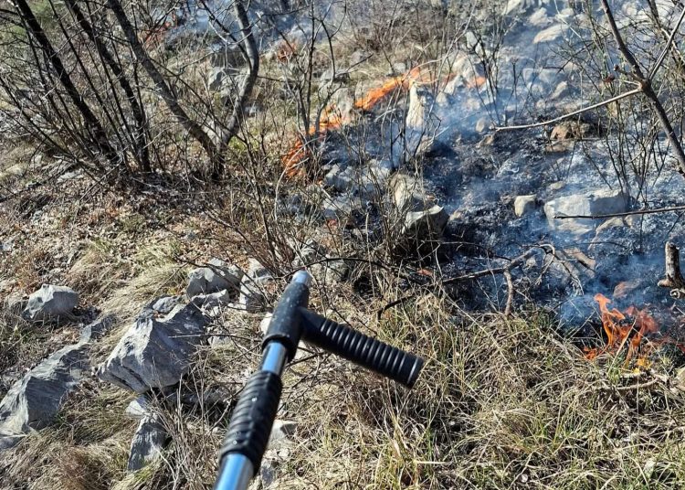 Požar u Širokom Brijegu: Vatrogasci gase vatru u Crnim Lokvama