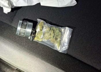 Suradnjom policije iz Širokog Brijega i Gruda zaplijenjena određena količina marihuane