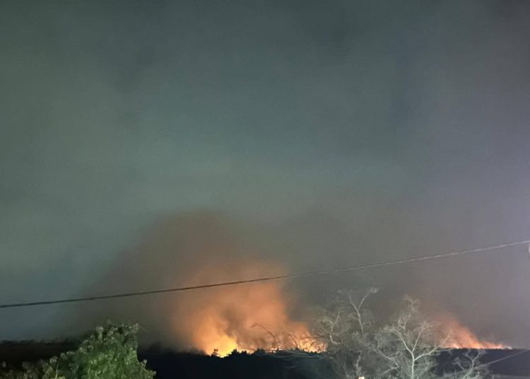 Veliki požar iznad Ljutog Doca na brdu Trtle: Vatrogasci u pripravnosti