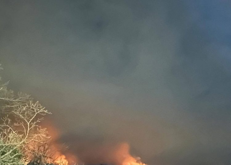 Veliki požar iznad Ljutog Doca na brdu Trtle: Vatrogasci u pripravnosti