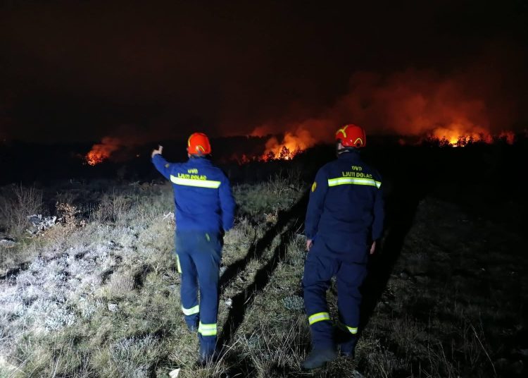 Požar u Ljutom Docu: Vatrogasci u noćnoj intervenciji spasili lovačke kuće