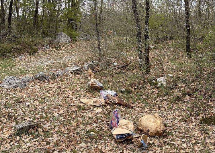 Foto: Franjo Mikulić Franz