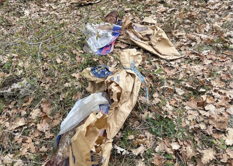 Foto: Franjo Mikulić Franz