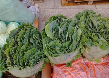 Donosimo najnovije cijene na čapljinskoj Veletržnici, povrće pojeftinilo