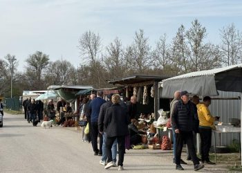 Pogledajte najnovije cijene na veletržnici kod Čapljine