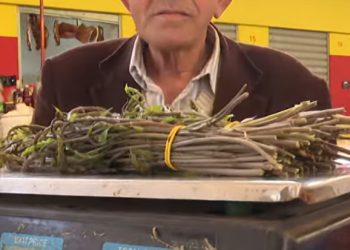 Krenula sezona kuka u Hercegovini