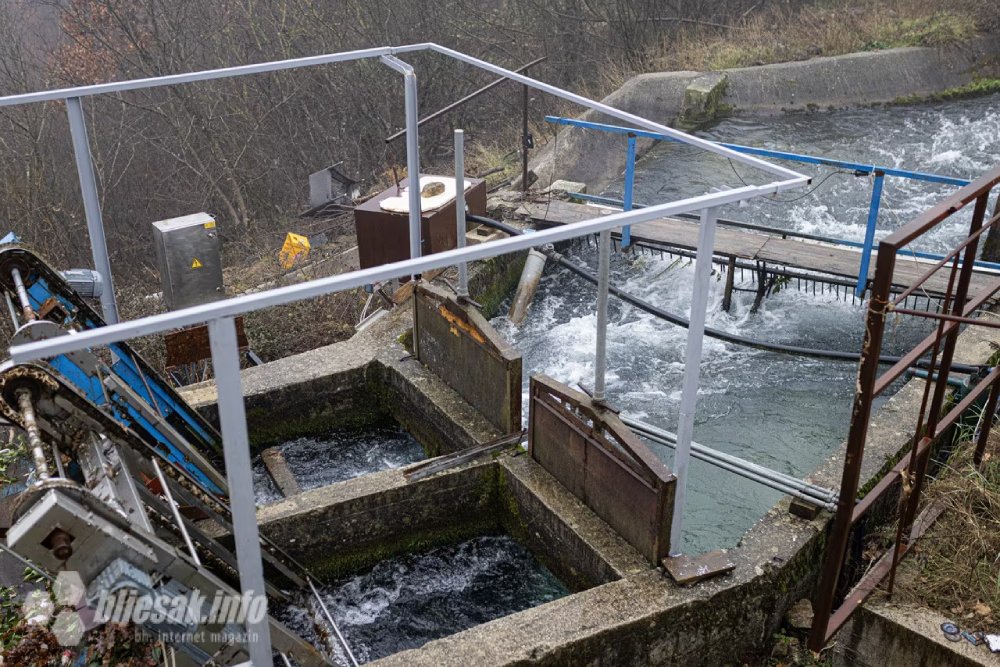 Foto: D.K. / Bljesak.info