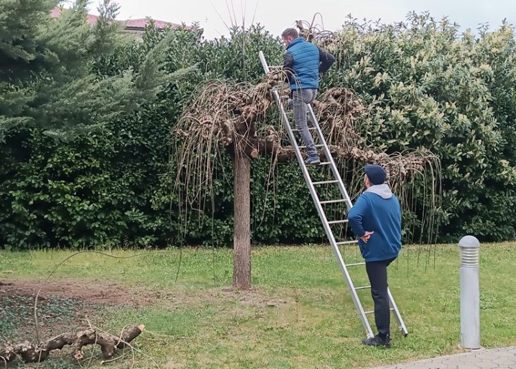 (VIDEO) Široki Brijeg: Velika zajednička akcija čišćenja mještana Uzarića i Briga za Križni put