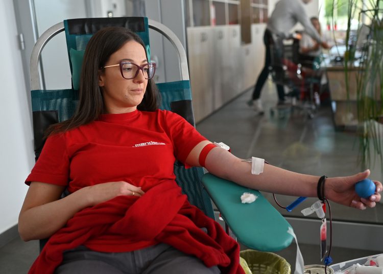 Široki Brijeg: Prikupljeno 16 doza krvi u akciji za djelatnike TEM Mandeksa