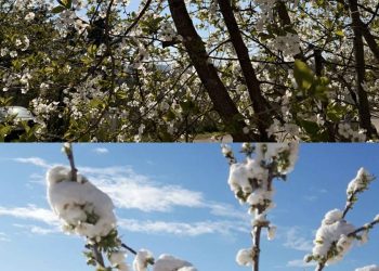 Pogledajte Široki Brijeg na isti datum: Od snijega do visokih 28°C