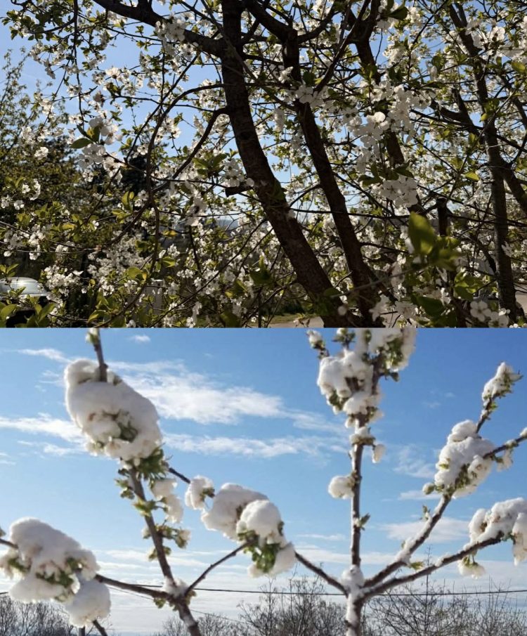 Pogledajte Široki Brijeg na isti datum: Od snijega do visokih 28°C