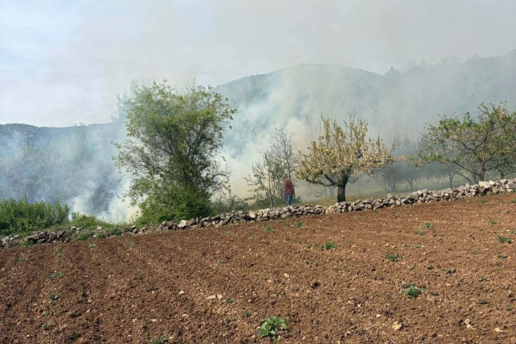 Požar u Gornjim Hanzićima kod Čitluka: Spašeni voćnjak i kuća
