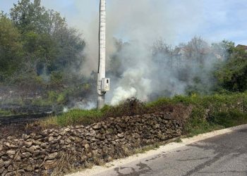 Požar u Gornjim Hanzićima kod Čitluka: Spašeni voćnjak i kuća