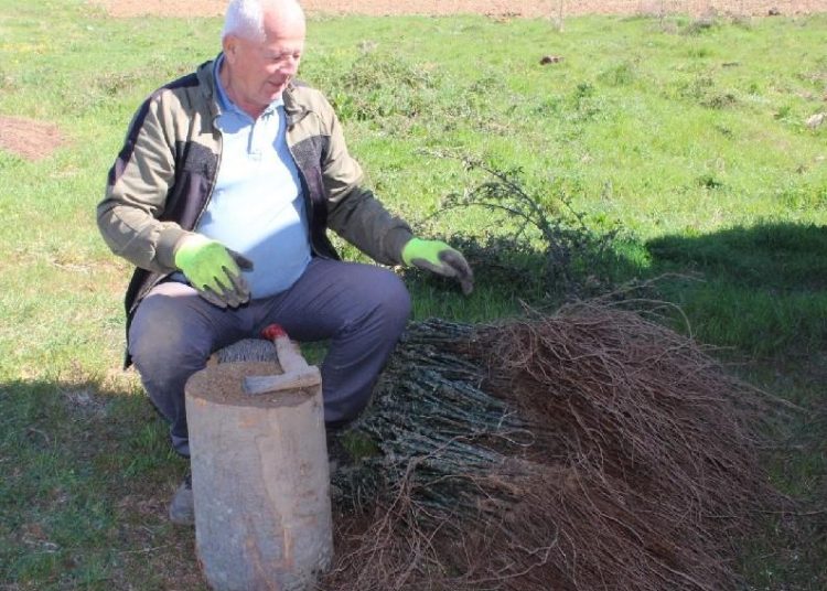 Foto: Radio Čapljina