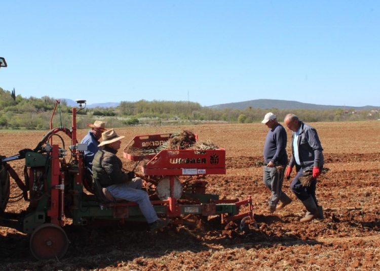 Foto: Radio Čapljina
