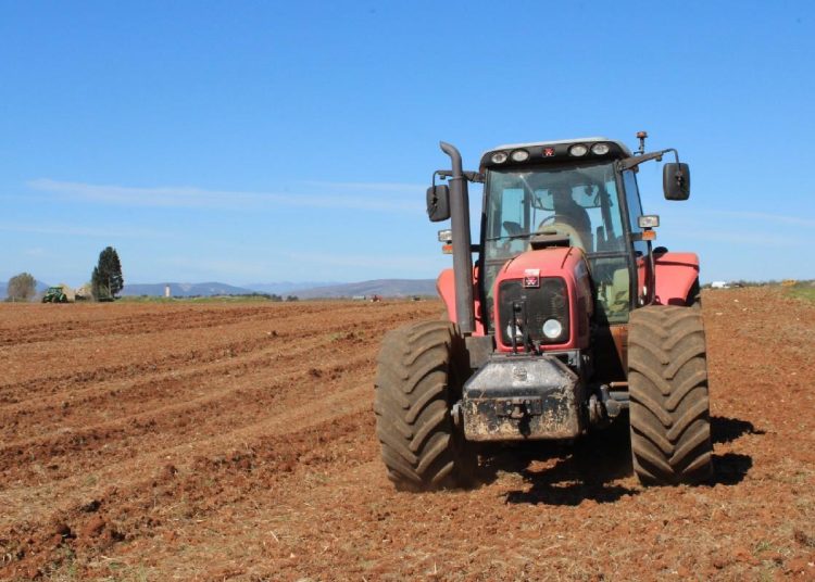 Foto: Radio Čapljina