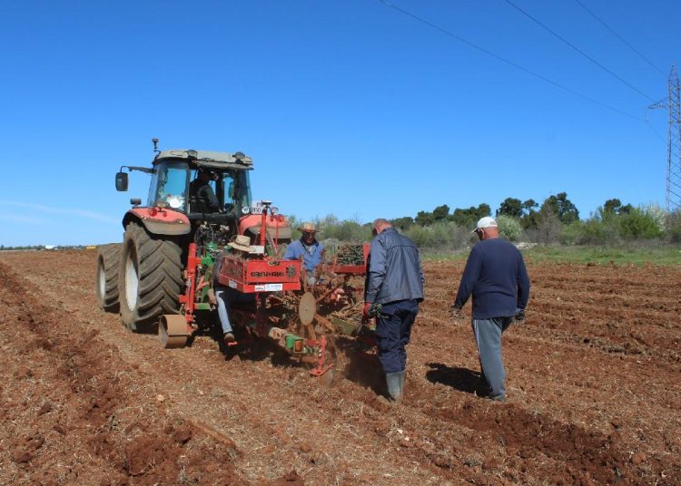 Foto: Radio Čapljina