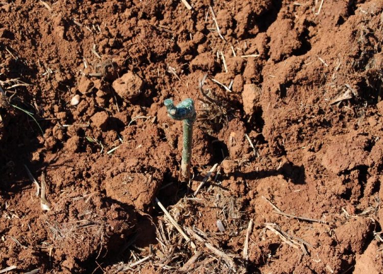 Foto: Radio Čapljina