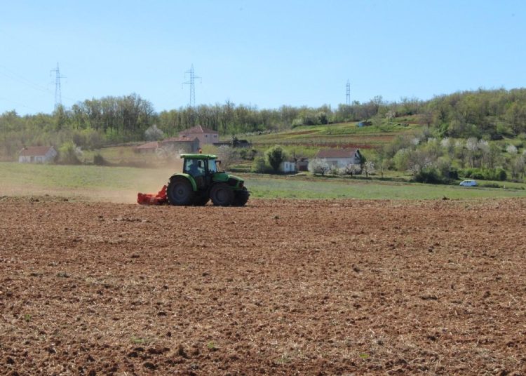 Foto: Radio Čapljina