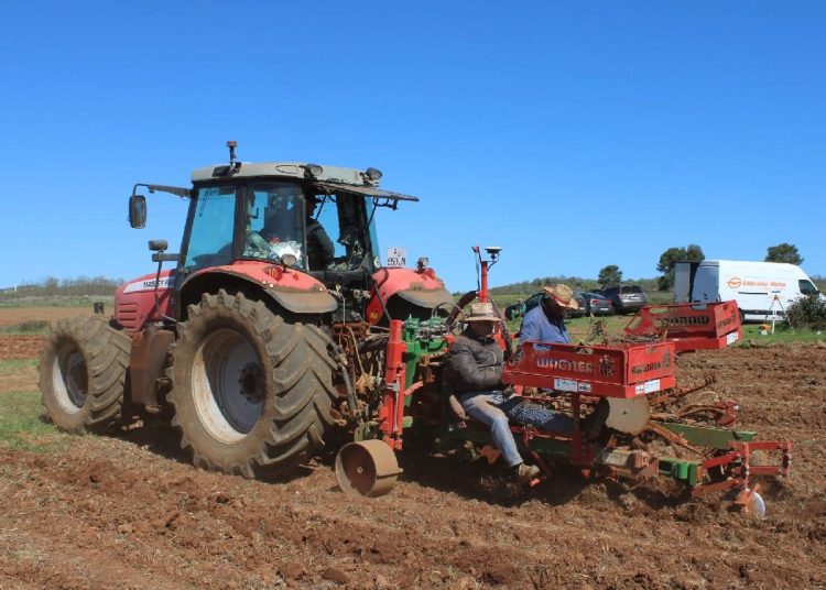 Foto: Radio Čapljina