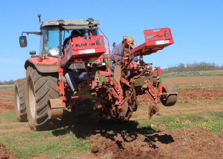 Foto: Radio Čapljina