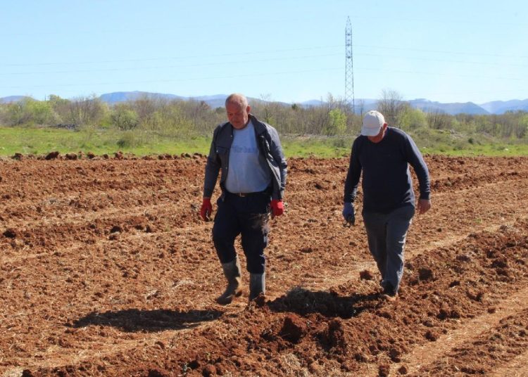 Foto: Radio Čapljina
