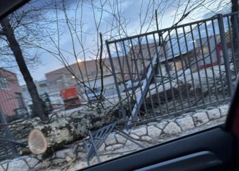 Olujna bura pogodila Široki Brijeg: Pala stabla i oštećena imovina