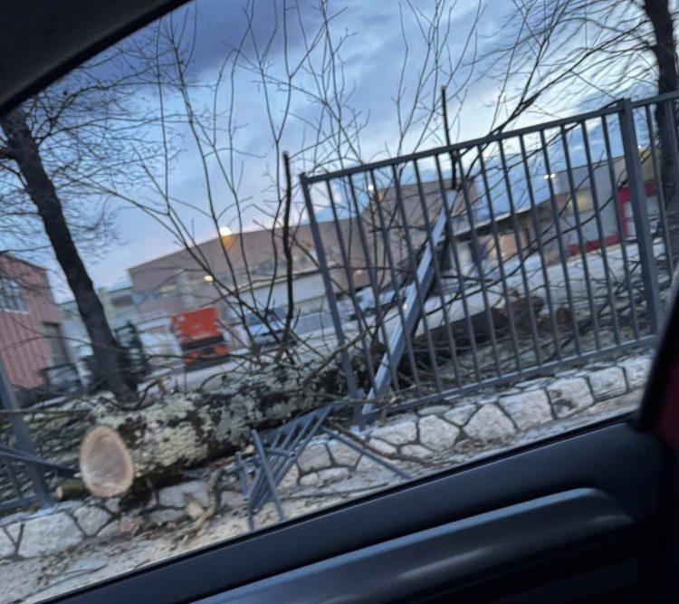 Olujna bura pogodila Široki Brijeg: Pala stabla i oštećena imovina