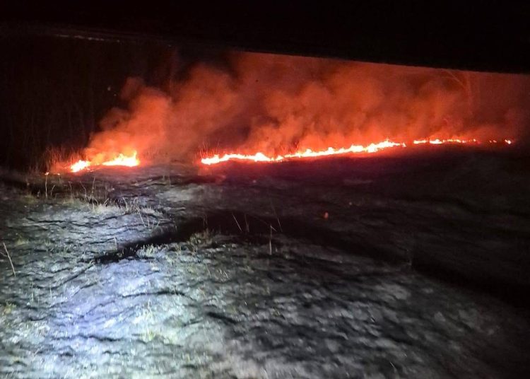 Široki Brijeg: Jak požar kod Privalja prijetio elektrodistribucijskoj mreži