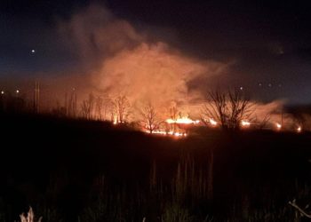 Široki Brijeg: Jak požar kod Privalja prijetio elektrodistribucijskoj mreži