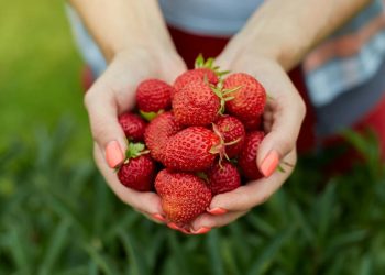 Jagode će ostati svježe i do deset dana uz ovaj trik