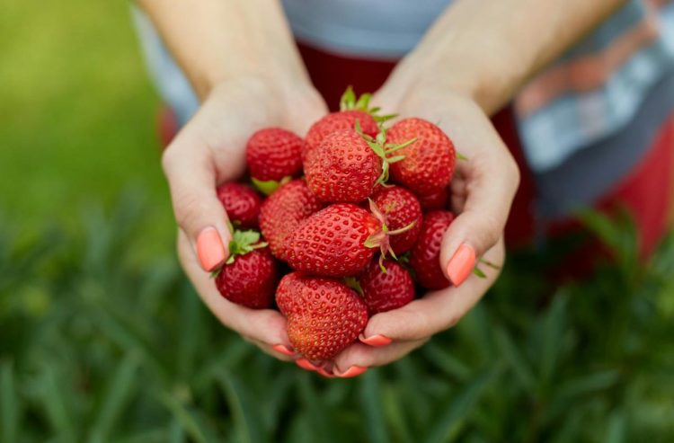 Jagode će ostati svježe i do deset dana uz ovaj trik