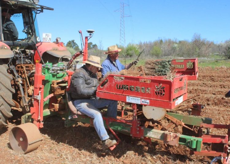 Foto: Radio Čapljina