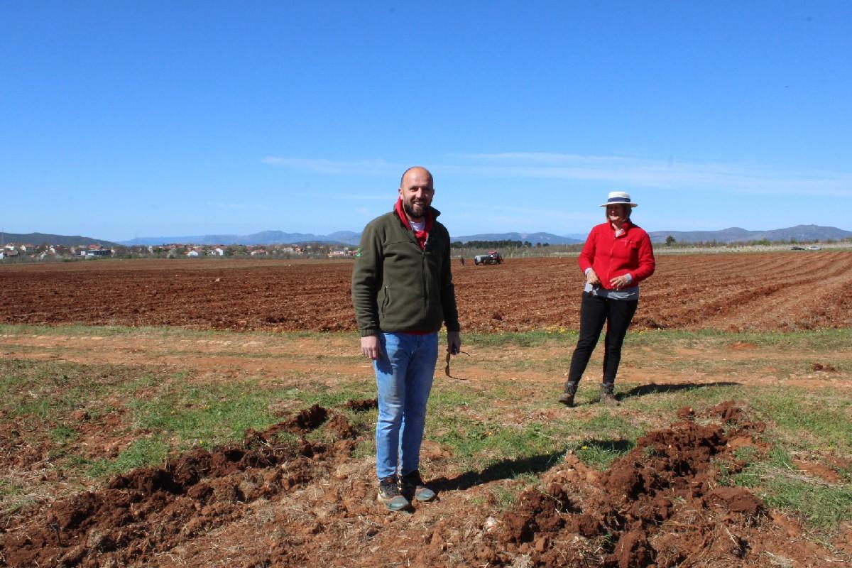 Rekordna sadnja u Hercegovini: Nova snaga hercegovačke žilavke Rekordna sadnja u Hercegovini: Nova snaga hercegovačke žilavke