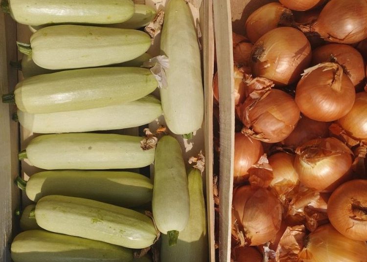 Foto: Radio Čapljina