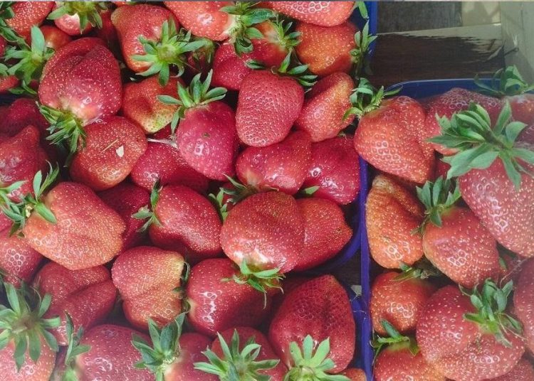 Foto: Radio Čapljina