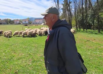 Napustio Švicarsku i vratio se u Ljubuški, kupio stado ovaca