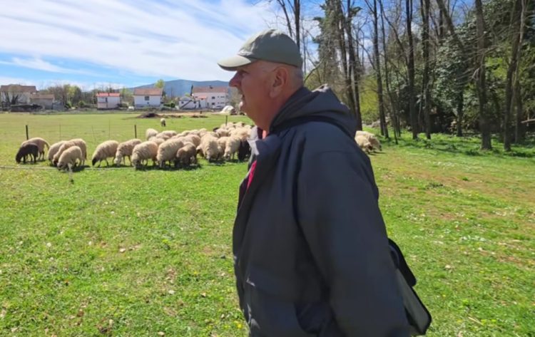 Napustio Švicarsku i vratio se u Ljubuški, kupio stado ovaca