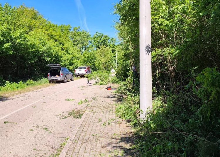 Široki Brijeg: Radna akcija u Uzarićima, zajedništvo na djelu