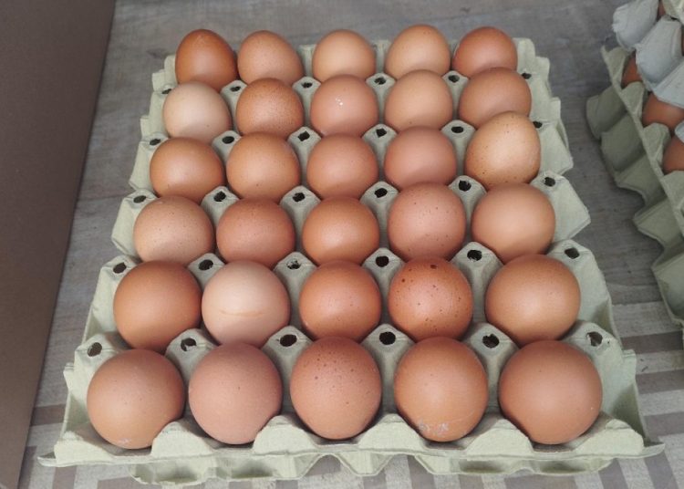 Foto: Radio Čapljina