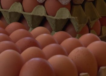 U Hercegovini domaća jaja skuplja pred Uskrs