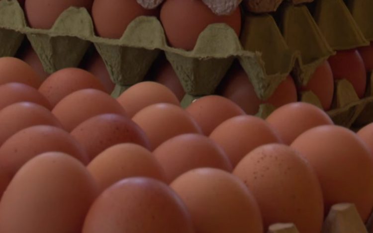 U Hercegovini domaća jaja skuplja pred Uskrs