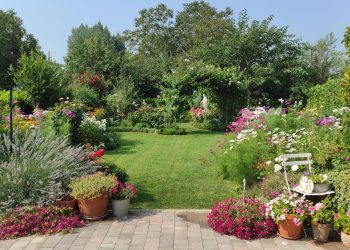 Pogledajte “Vrt uspomena” u Širokom Brijegu: Posebna priča obitelji Marić