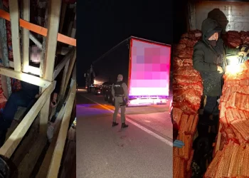 Spriječeno krijumčarenje migranata: U kamionu s drvima pronađeno 38 osoba