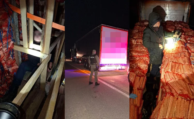 Spriječeno krijumčarenje migranata: U kamionu s drvima pronađeno 38 osoba