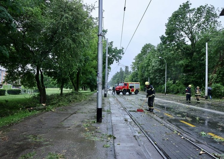 Nevrijeme poharalo Zagreb, padala stabla, ima ozlijeđenih